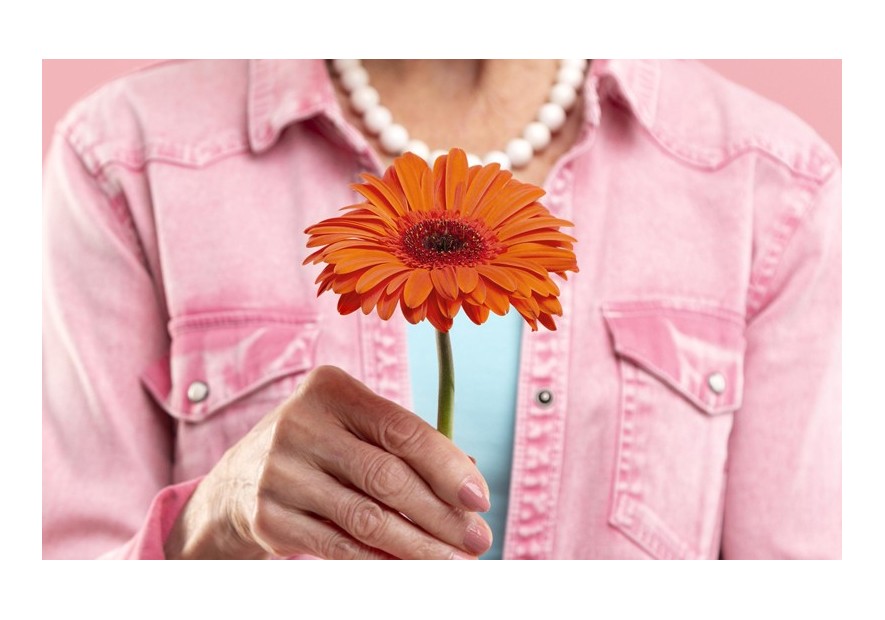 PLANTAS PARA LA MENOPAUSIA: GUIA PRÁCTICA POR SINTOMAS