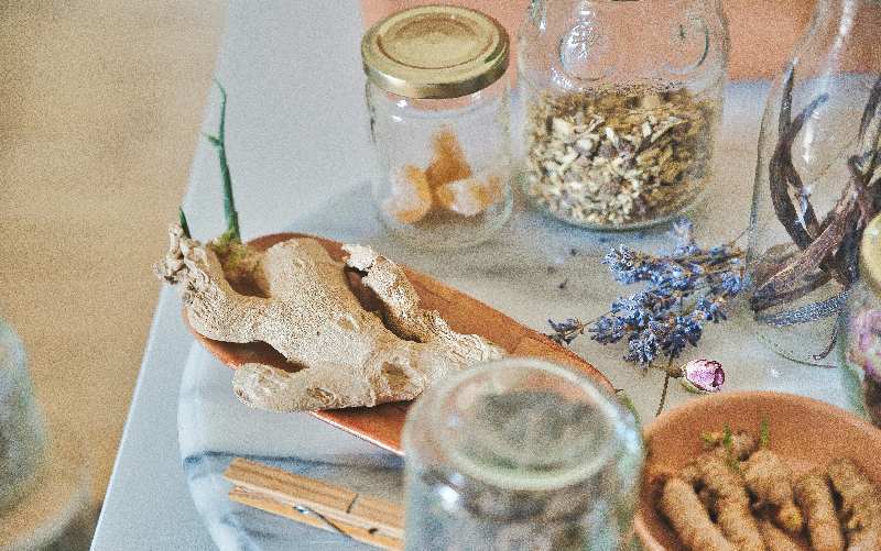 diferentes plantas y raíces