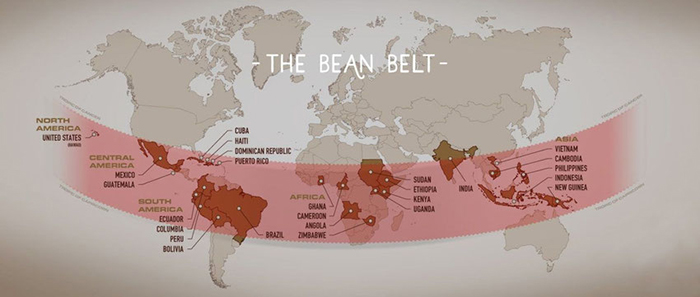 distribucion-areas-cultivo-cafe-mundo