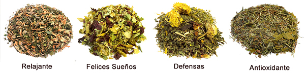 mezclas-siente-sistema-inmune